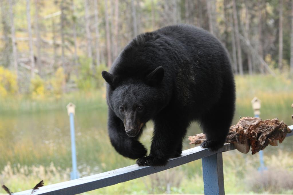 Lac Le Jeune Resort & Nature Centre แคมลูปส์ ภายนอก รูปภาพ