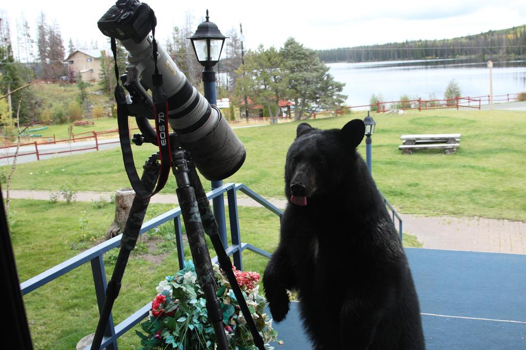 Lac Le Jeune Resort & Nature Centre แคมลูปส์ ภายนอก รูปภาพ