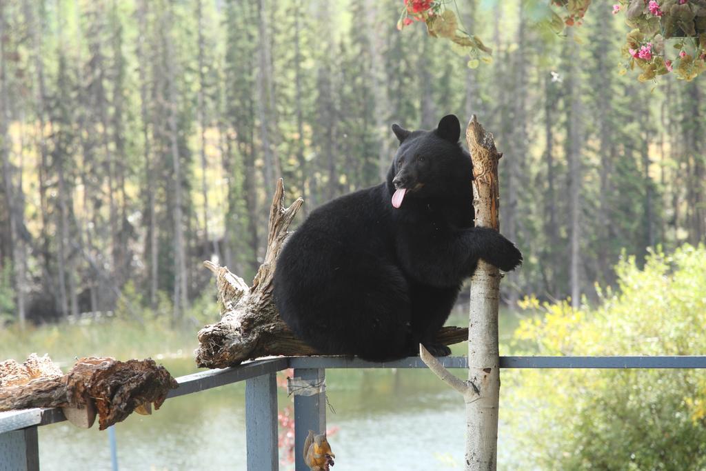 Lac Le Jeune Resort & Nature Centre แคมลูปส์ ภายนอก รูปภาพ