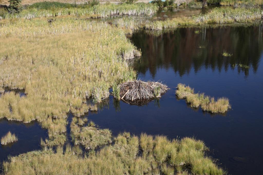 Lac Le Jeune Resort & Nature Centre แคมลูปส์ ภายนอก รูปภาพ
